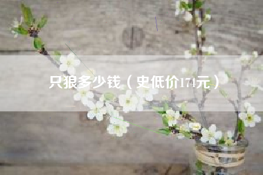 只狼多少钱（史低价174元）
