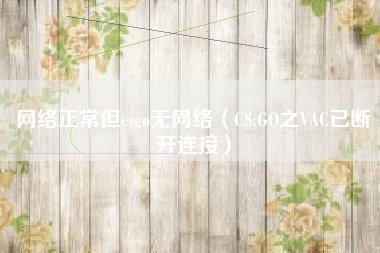 网络正常但csgo无网络（CS:GO之VAC已断开连接）