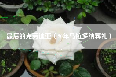 最后的克劳迪亚（20年马拉多纳葬礼）