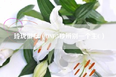 玲珑徽章（DNF:5秒辨别一个主C）