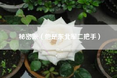 秘密派（他是东北军二把手）