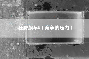狂野飙车8（竞争的压力）
