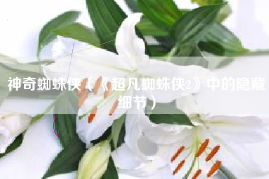 神奇蜘蛛侠（《超凡蜘蛛侠2》中的隐藏细节）