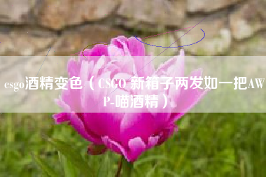 csgo酒精变色（CSGO 新箱子两发如一把AWP-喵酒精）