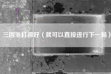三国杀打得好（就可以直接进行下一局）