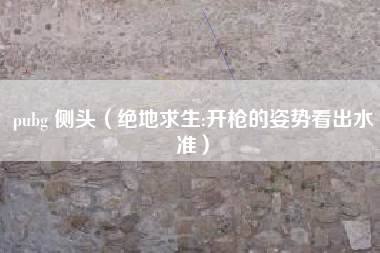 pubg 侧头（绝地求生:开枪的姿势看出水准）