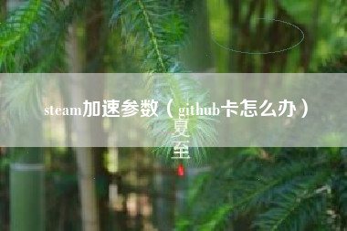 steam加速参数（github卡怎么办）