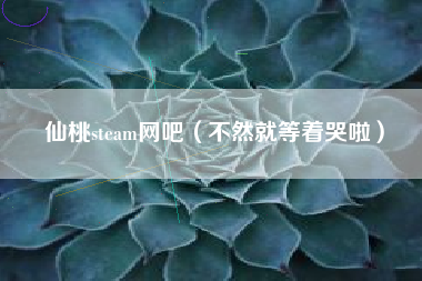 仙桃steam网吧（不然就等着哭啦）