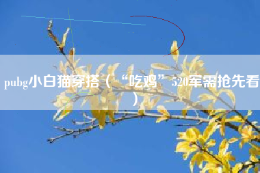 pubg小白猫穿搭（“吃鸡”520军需抢先看）