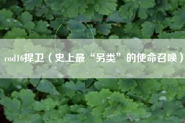 cod16捍卫（史上最“另类”的使命召唤）