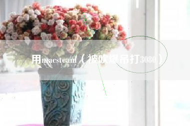 用macsteam（被吹爆吊打3080）