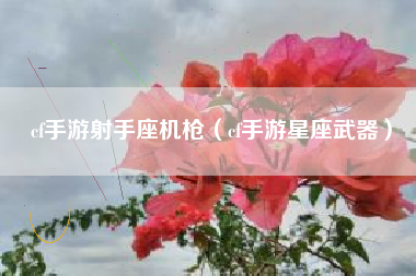 cf手游射手座机枪（cf手游星座武器）