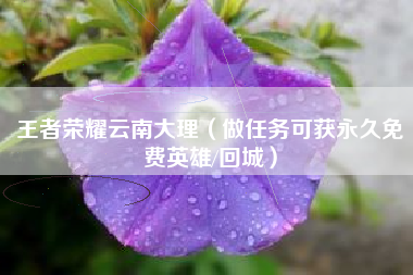 王者荣耀云南大理（做任务可获永久免费英雄/回城）