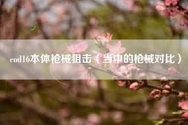 cod16本体枪械狙击（当中的枪械对比）