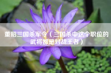 董昭三国杀军令（三国杀中这个职位的武将都是对战王者）