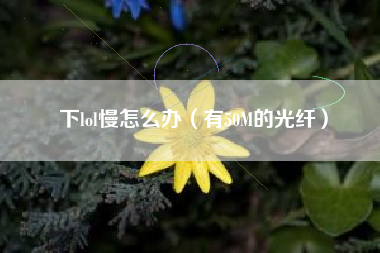 下lol慢怎么办（有50M的光纤）
