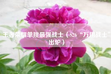 王者荣耀单挑最强战士（S26“万用战士”出炉）