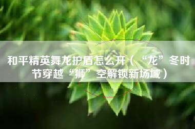 和平精英舞龙护盾怎么开（“龙”冬时节穿越“狮”空解锁新场域）