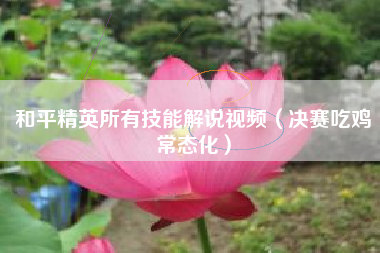 和平精英所有技能解说视频（决赛吃鸡常态化）