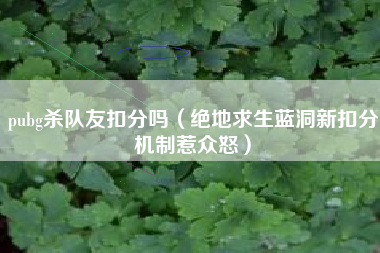 pubg杀队友扣分吗（绝地求生蓝洞新扣分机制惹众怒）