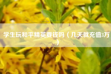 学生玩和平精英要钱吗（几天就充值3万）