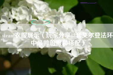 steam衣服展示（玩家分享18套艾尔登法环中最帅的服装搭配）