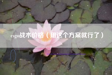 csgo战术价格（用这个方案就行了）