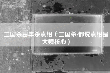 三国杀田丰杀袁绍（三国杀:都说袁绍是大魏核心）