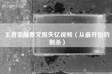 王者荣耀蔡文姬失忆视频（从最开始的刺杀）
