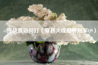 cf挑战赛如何打（穿越火线世界冠军Q9）