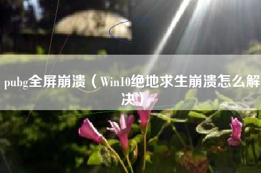 pubg全屏崩溃（Win10绝地求生崩溃怎么解决）