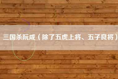 三国杀阮咸（除了五虎上将、五子良将）