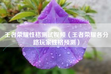 王者荣耀性格测试视频（王者荣耀各分路玩家性格预测）