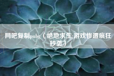 网吧复制pubg（绝地求生:游戏惨遭疯狂抄袭）