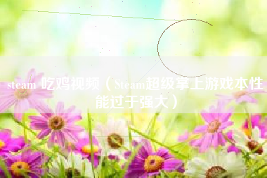 steam 吃鸡视频（Steam超级掌上游戏本性能过于强大）