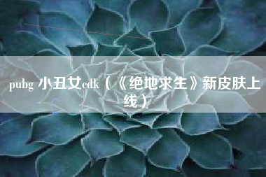 pubg 小丑女cdk（《绝地求生》新皮肤上线）