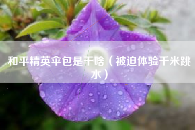 和平精英伞包是干啥（被迫体验千米跳水）