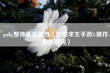 pubg整体画面暖热（绝地求生手游2:操作布局清爽）