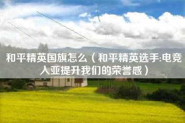 和平精英国旗怎么（和平精英选手:电竞入亚提升我们的荣誉感）