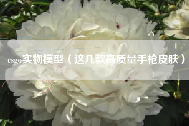 csgo实物模型（这几款高质量手枪皮肤）