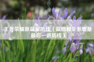 王者荣耀新蓝军防线（蓝盾和全系盾是最后一道防线）