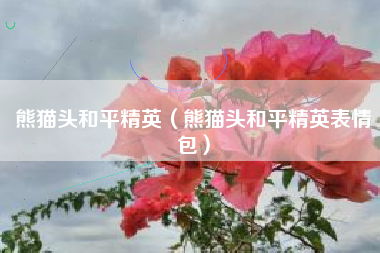 熊猫头和平精英（熊猫头和平精英表情包）