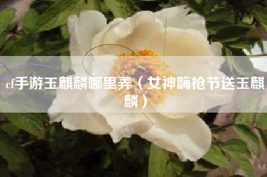 cf手游玉麒麟哪里弄（女神嗨枪节送玉麒麟）