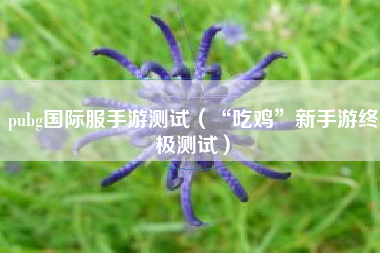pubg国际服手游测试（“吃鸡”新手游终极测试）