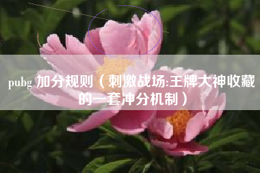 pubg 加分规则（刺激战场:王牌大神收藏的一套冲分机制）