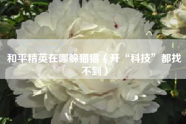 和平精英在哪躲猫猫（开“科技”都找不到）