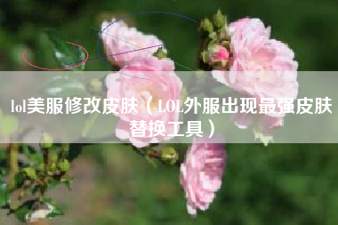 lol美服修改皮肤（LOL外服出现最强皮肤替换工具）