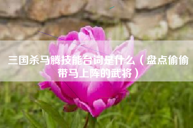 三国杀马腾技能台词是什么（盘点偷偷带马上阵的武将）