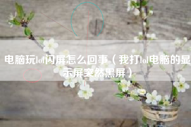 电脑玩lol闪屏怎么回事（我打lol电脑的显示屏突然黑屏）