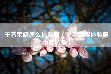 王者荣耀怎么体验服（王者荣耀体验服手感调整）